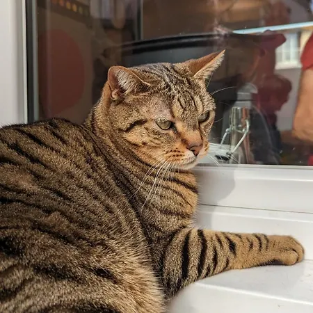 Hotel Maison Luxe Avec Jardin, 5 Chambres, Cinema - Metro 1